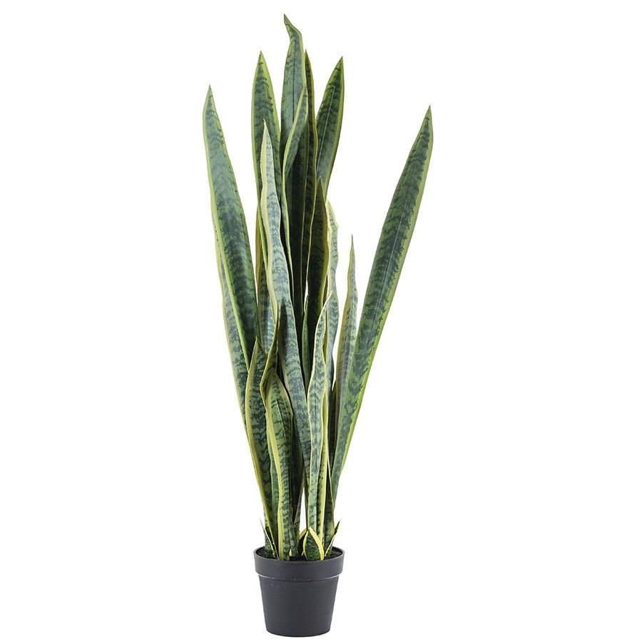 Kunstplant Sansevieria  – groot